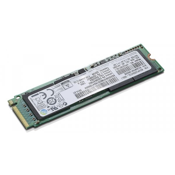 Disco SSD  Lenovo ThinkPad 256GB PCIe NVME TLC OPAL M.2 SSD